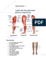 Anatomía y Masaje de piernas.docx