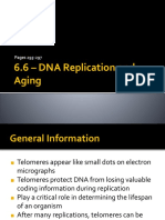 6.6 DNA Replication and Aging