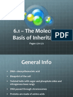 6.1 - The Molecular Basis of Inheritance