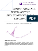 Diagnostico Prenatal, Tratamiento y Evolucion Del Labio Leporino.