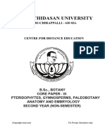 B.SC - Botany - Pteridophytes, Anatomy and Embryology - II-Year - SPS PDF