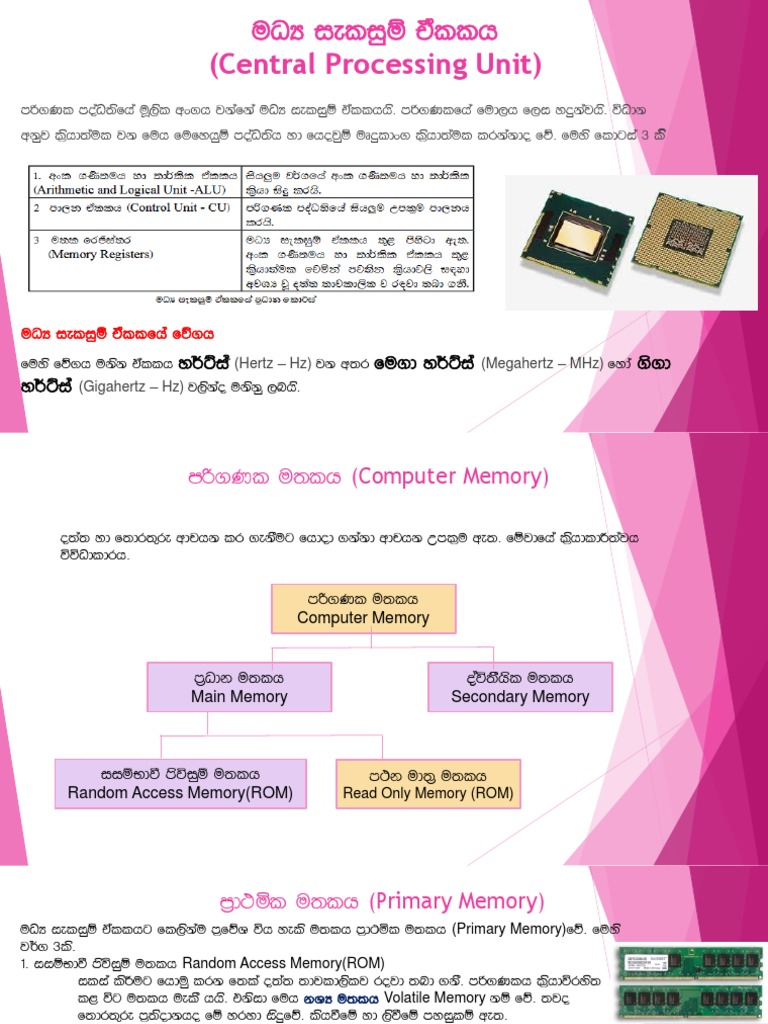 An overview of computer memory and storage devices pdf hertz