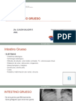 Semana 10 Sesion 19-1 Intestino Grueso