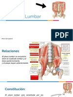 Plexo lumbar y sacro