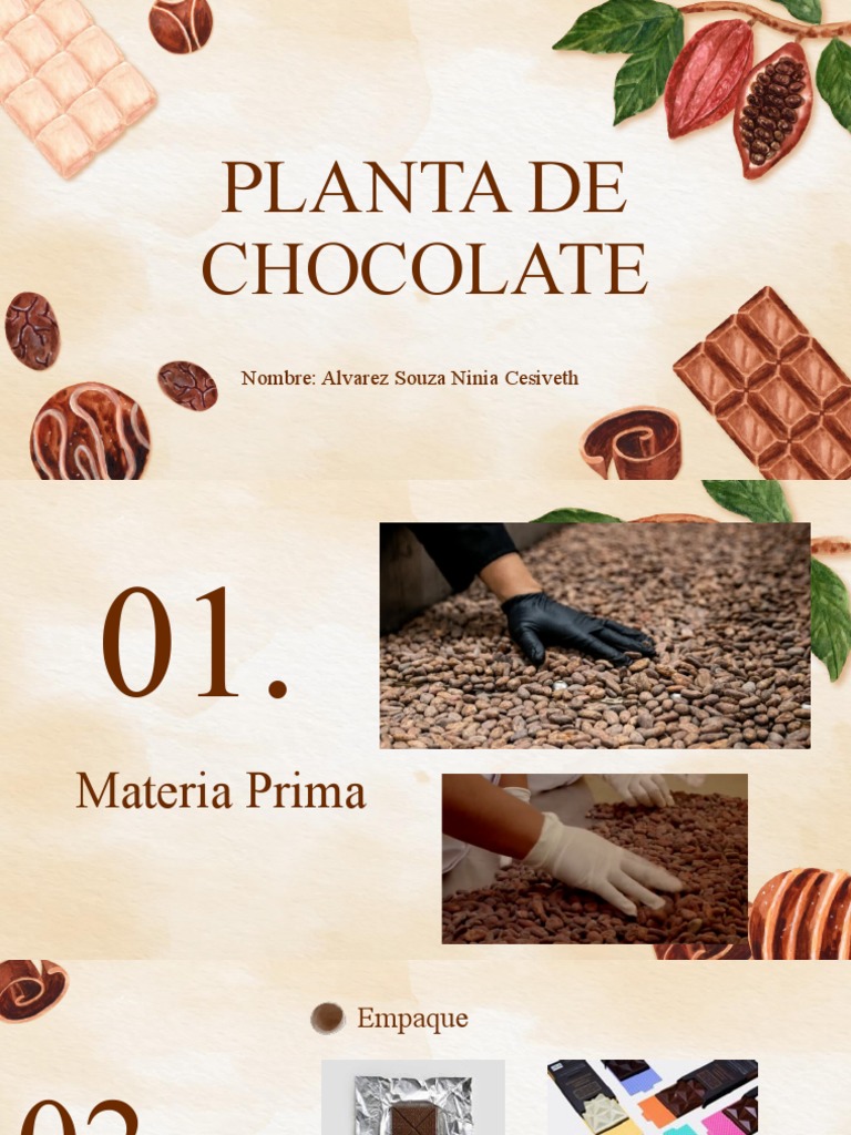 Planta de Chocolate Ventas PDF