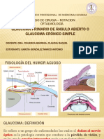 Glaucoma Primario de Ángulo Abierto