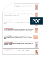 Los Mecanorreceptores de La Piel