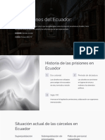 Las Prisiones Del Ecuador Descubre La Situacion Actual PDF