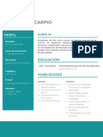 CV Ian Lev Arriaga Carpio PDF