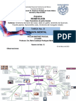 Patlani Martinez P Mapa Reumatismo Partes Blandas 03 Marzo 23