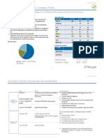 HappyHour Co. Company Profile and Auction Process Overview