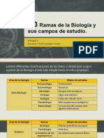 1.3 Ramas y 1.4 Ciencias de La Biología