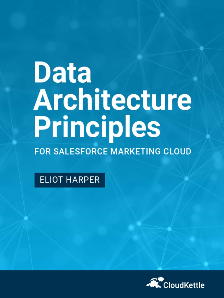 Data_Architecture_Principles | PDF | Conceptual Model | Password