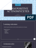 24 Gram Positive Actinomycetes - Narrated