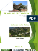 Traveling Destination - Diego Ferreira 2