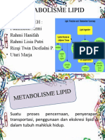 Biokimia Metabolisme Lipid
