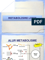 Metabolisme Lipid PDF