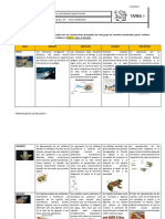 Tarea de Eduardo PDF