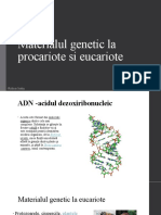 Materialul Genetic La Procariote Si Eucariote