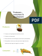 Producers, Consumers and Decomposers-Vivaan Reddy N