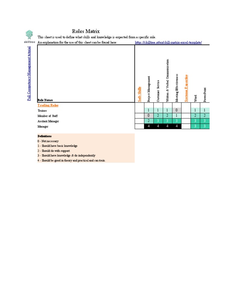 SKILLS MATRIX TEMPLATE FREE DOWNLOAD visual data 2