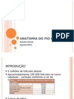 Anatomia Do Fio Capilar