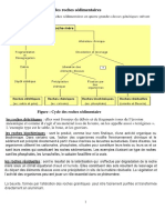 Pétrologie-Sédimentologie (Suite) PDF