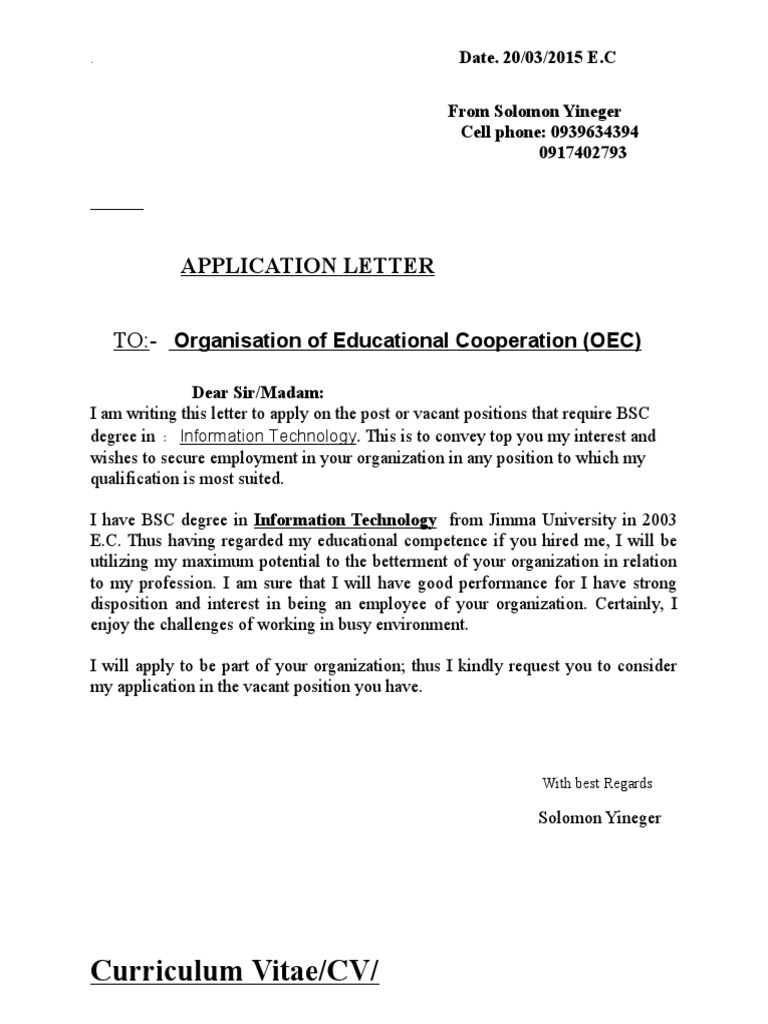 Solomon Yineger's Job Application | PDF