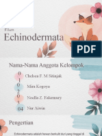 Filum Echinodermata-Biologi