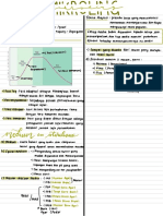 Mikroling Week 3 PDF