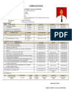 CV Olo Sianipar Att3 PDF