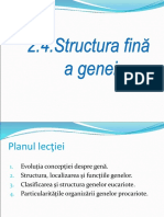 2_4_Structura genei (1)