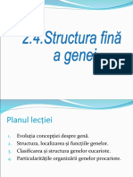 2_4_Structura genei