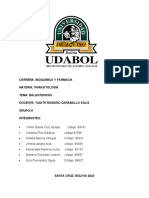 Balantidiosis Informe Tema 9