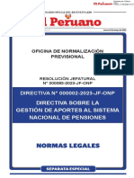 Directiva Sobre La Gestión de Aportes Al Sistema Nacional de Pensiones