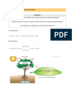 2.2 Cell Respiration and Photosynthesis