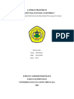 3a - Alifia Riani - 4442210001 - LP (3) Rancob PDF
