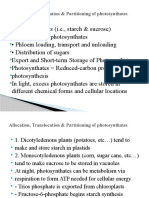 Phloen Translocation - Lect. 2.1