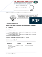 Practica de Laboratorio Celula