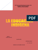Educacion Indigena