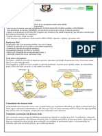 Resumo - Vírus