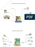 Mapas Mentales DCNB, Estandares y Programaciones