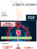 Sistema Circulatorio Durly