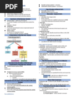 Chapter 7 - Nervous System