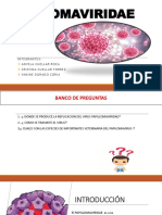 Papilomavirus: ciclo de vida, epidemiología y enfermedades importantes