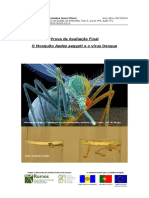 Paf Filpa Final Quarta PDF