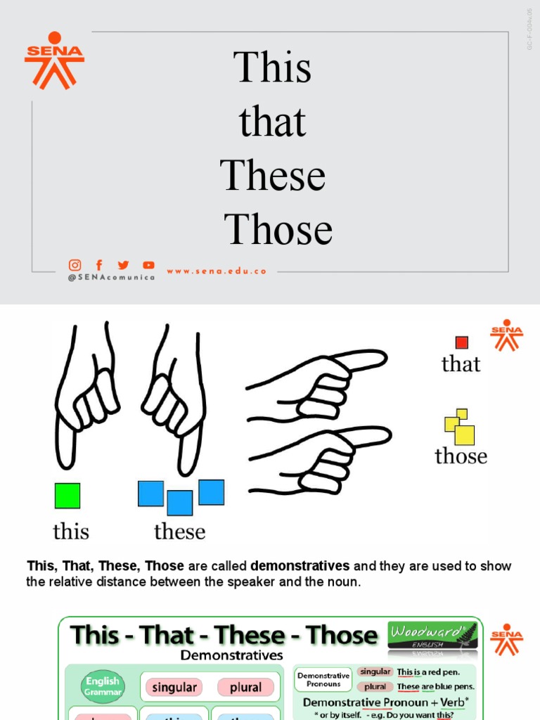 This That These Those Lesson | PDF