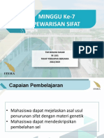 Minggu 7 - Pewarisan Sifat PDF