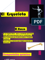 El Esqueleto 2 - 2022 PDF