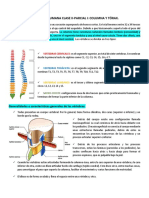 Anatomia Humana Clase Ii